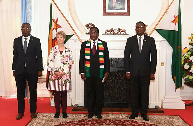 Introducing Dr Margret Verwijk Netherlands Ambassador to Zimbabwe