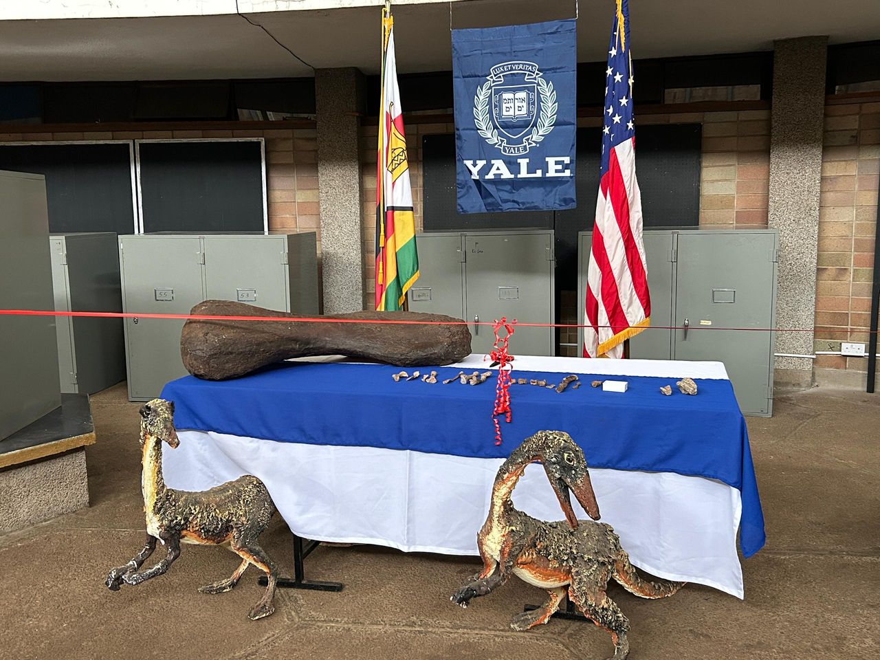 U.S. Ambassador Celebrates Historic Donation to Bulawayo Natural History Museum